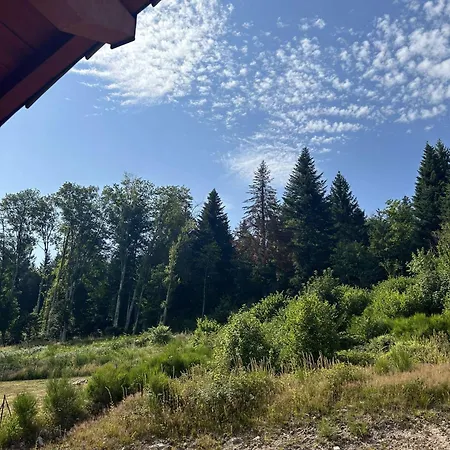 Du Bambi 4* Gerbamont