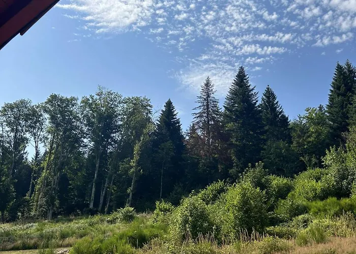 Du Bambi 4* Gerbamont